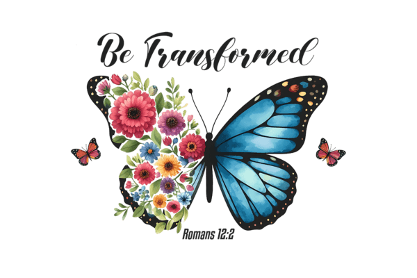 Be transformed Butterfly