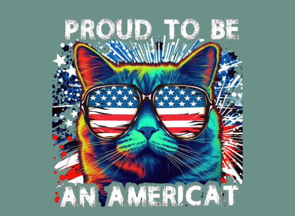 Proud to be an Americat