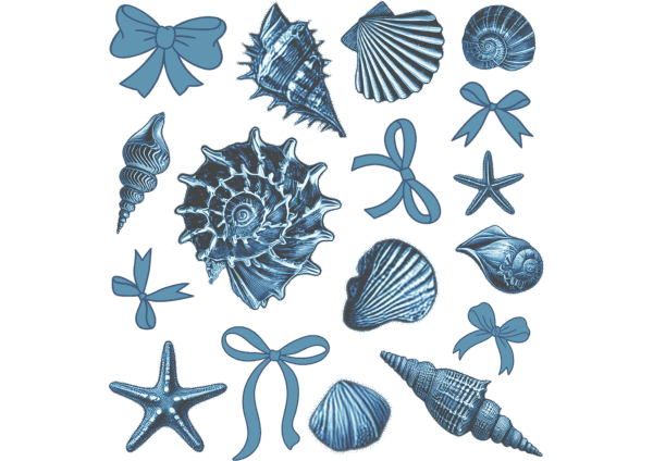 Seashell Collage