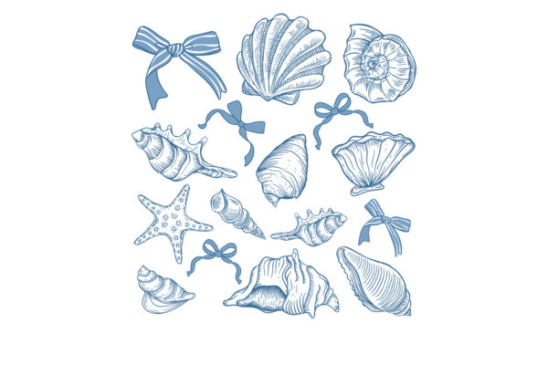 Coastal Seashells