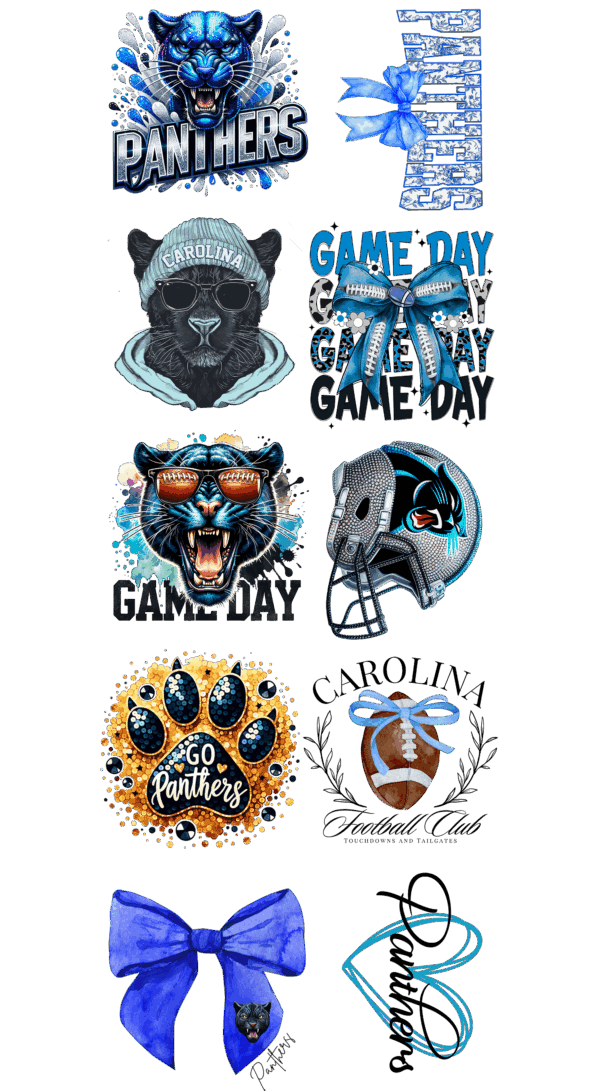 Pre-Made Panthers gang 22x60