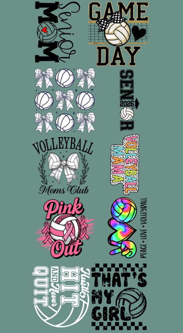 Pre-Made Volleyball gang 22x60