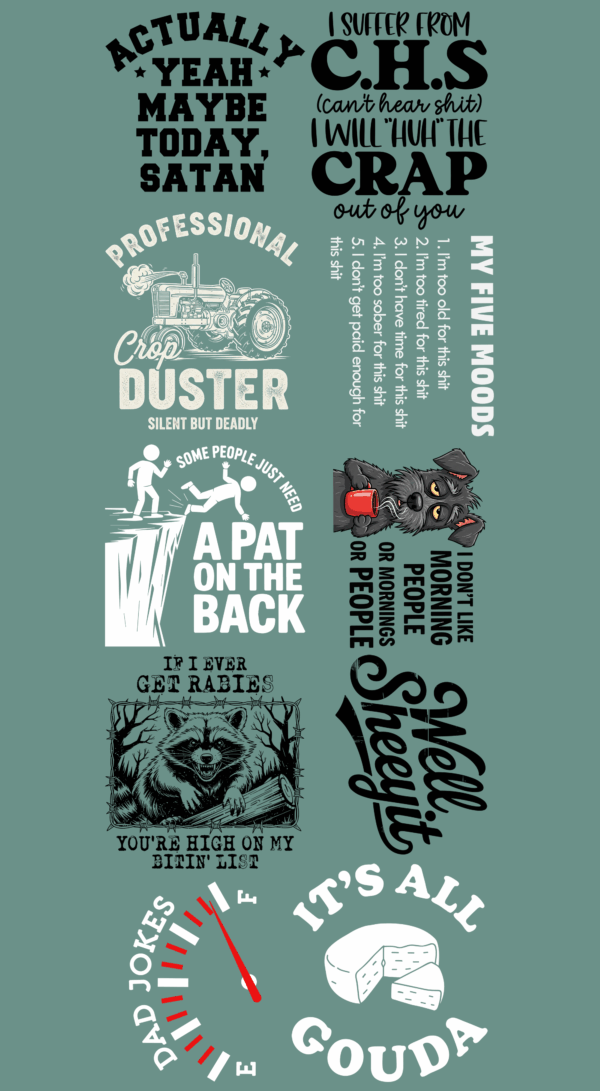 Pre-Made Funny 2 gang 22x60