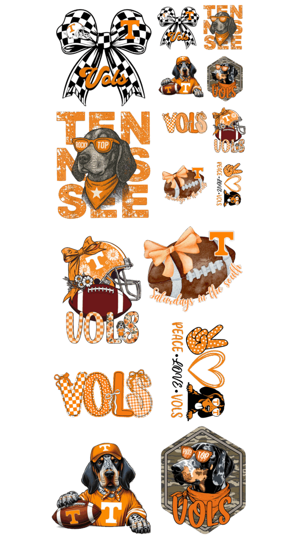 Pre-Made Vol Gang 22x60